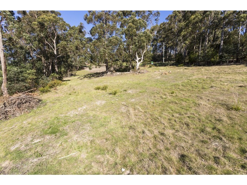 220 Kelcey Tier Road, Spreyton TAS 7310