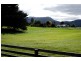 364 Liena Road, Mole Creek TAS 7304