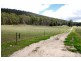 364 Liena Road, Mole Creek TAS 7304