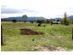 364 Liena Road, Mole Creek TAS 7304