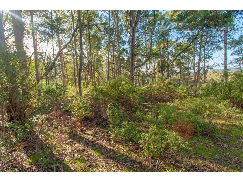 70 Clayton Drive, Spreyton TAS 7310