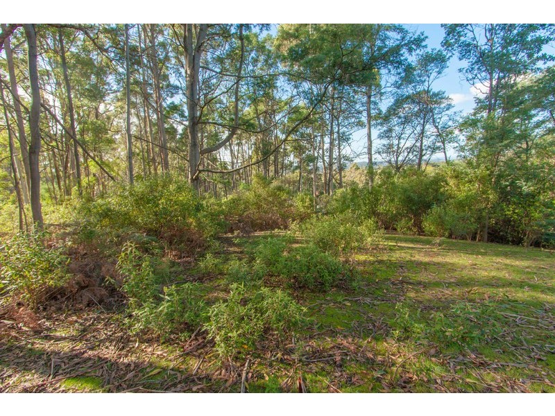 70 Clayton Drive, Spreyton TAS 7310