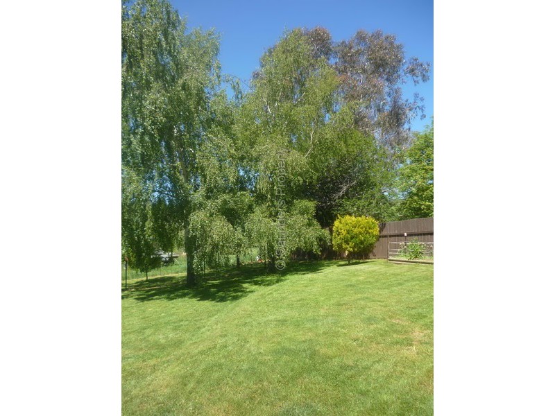 43 Caveside Road, Mole Creek TAS 7304