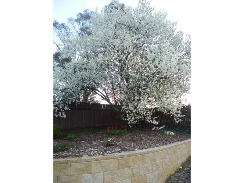 43 Caveside Road, Mole Creek TAS 7304