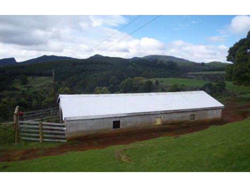494 Stotts Road, Camena TAS 7316