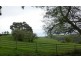 494 Stotts Road, Camena TAS 7316
