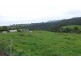 494 Stotts Road, Camena TAS 7316