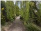 31 Craythorne Road, Rosevears TAS 7277