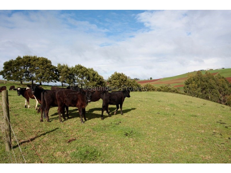 66 Maydena Road, Stowport TAS 7321