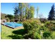 167 Sheffield Road, Spreyton TAS 7310