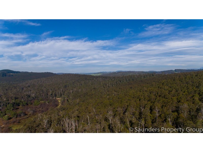 171 Beulah Road, Beulah TAS 7306