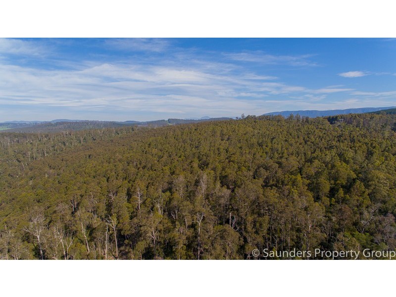 171 Beulah Road, Beulah TAS 7306