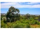 8 Wadecliff Rise, Ulverstone TAS 7315