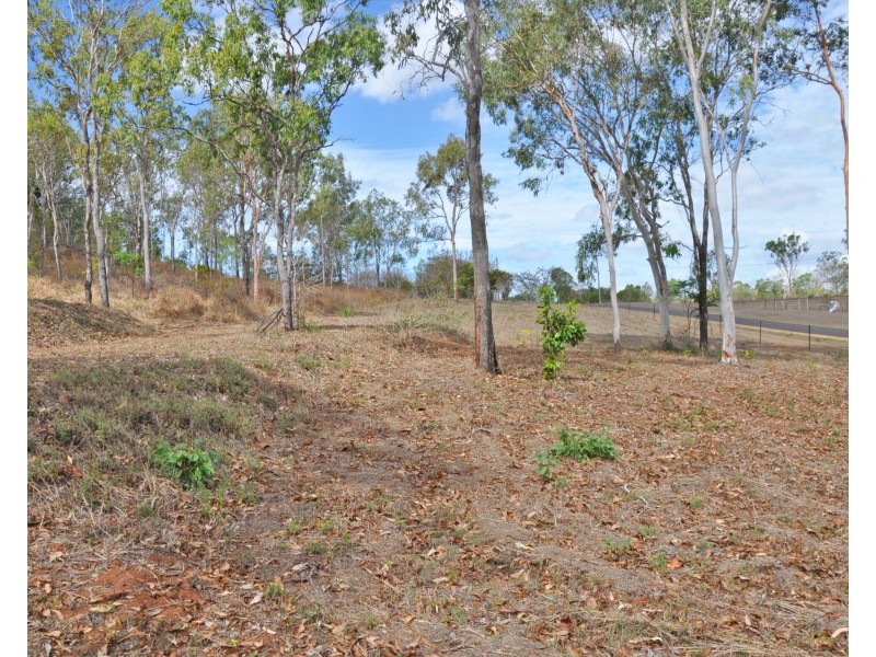 19 Cypress Road, Biboohra QLD 4880