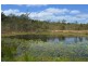 Lot 4, 3400 Mulligan Highway, Mount Molloy QLD 4871