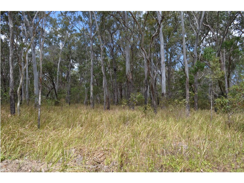 Lot 4, 3400 Mulligan Highway, Mount Molloy QLD 4871