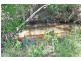 Lot 3, 4497 Kennedy Highway, Mareeba QLD 4880