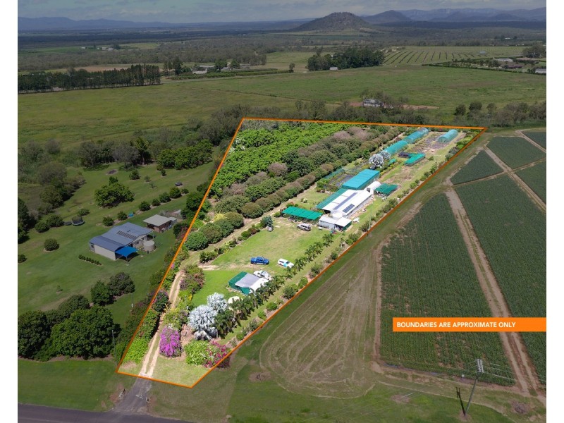 77 Carman Road, Mareeba QLD 4880