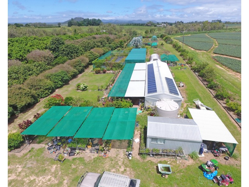 77 Carman Road, Mareeba QLD 4880