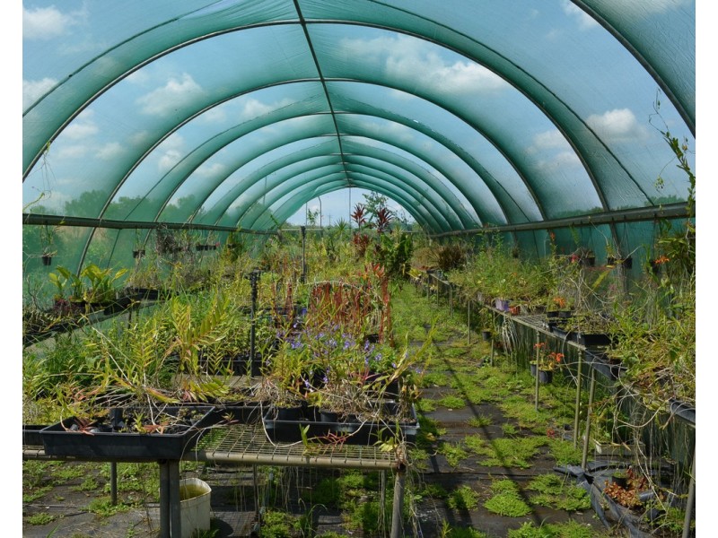 77 Carman Road, Mareeba QLD 4880