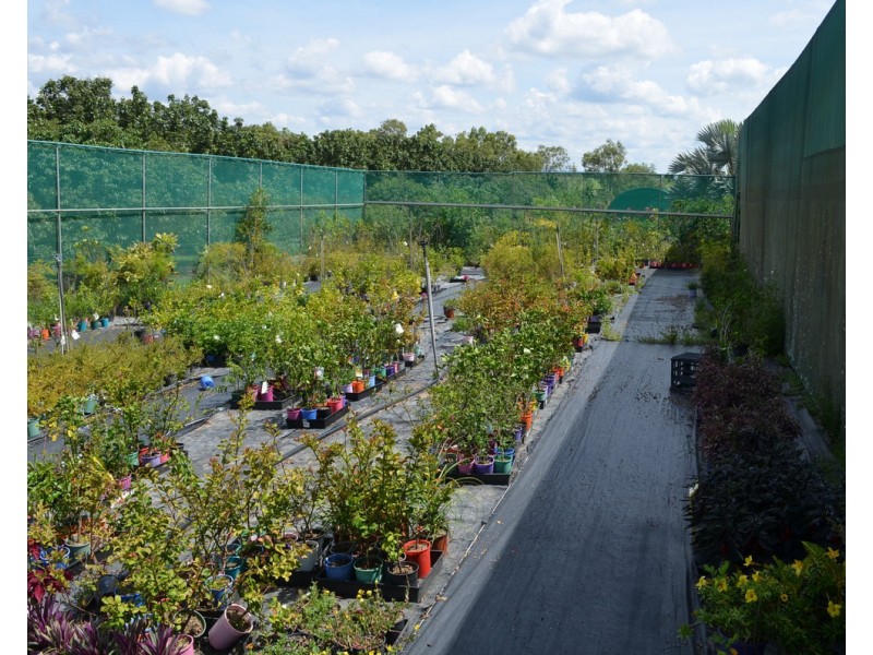 77 Carman Road, Mareeba QLD 4880