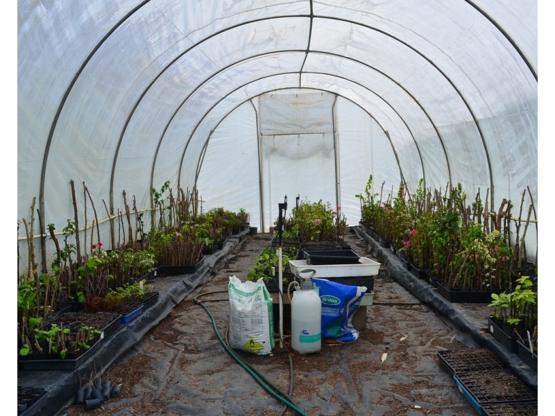 77 Carman Road, Mareeba QLD 4880