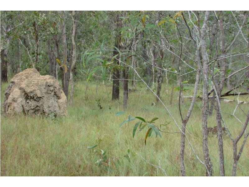 Lot 1, 3609 Mulligan Highway, Mount Molloy QLD 4871