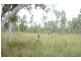 Lot 1, 3609 Mulligan Highway, Mount Molloy QLD 4871