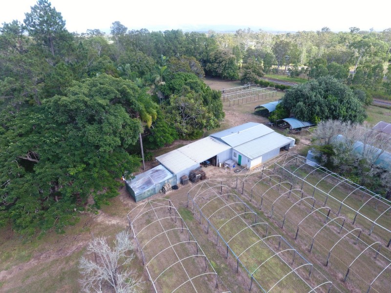 134 Bilwon Road, Biboohra QLD 4880
