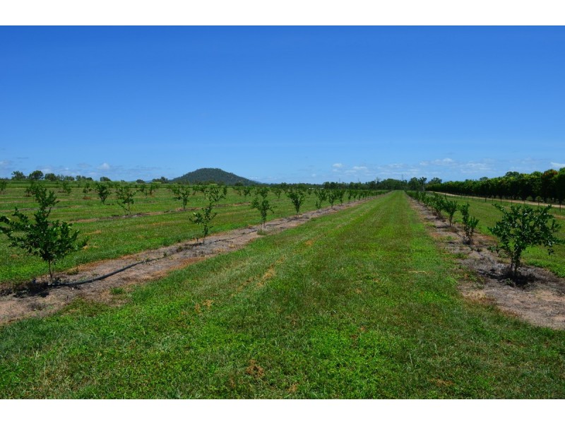 208 George Fabris Road, Mareeba QLD 4880