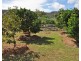 45 Cascade Close, Mutchilba QLD 4872