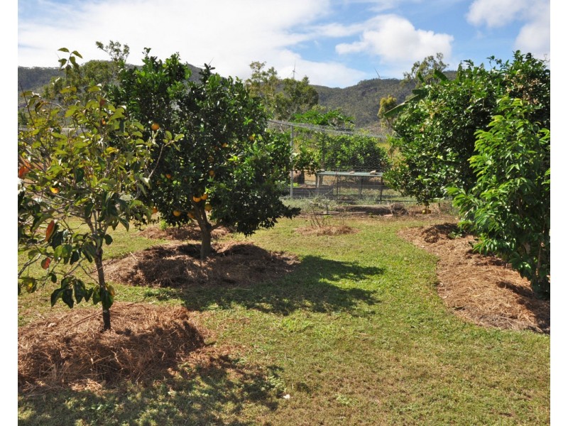 45 Cascade Close, Mutchilba QLD 4872