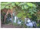 31 Hastings Drive, Mareeba QLD 4880