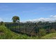 1013 Mareeba-Dimbulah Road, Mareeba QLD 4880