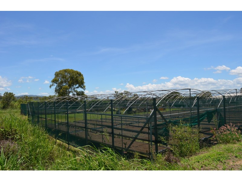 1013 Mareeba-Dimbulah Road, Mareeba QLD 4880
