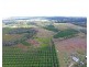 33 Querin Road, Biboohra QLD 4880