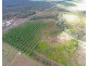 Lot 1, 33 Querin Road, Biboohra QLD 4880