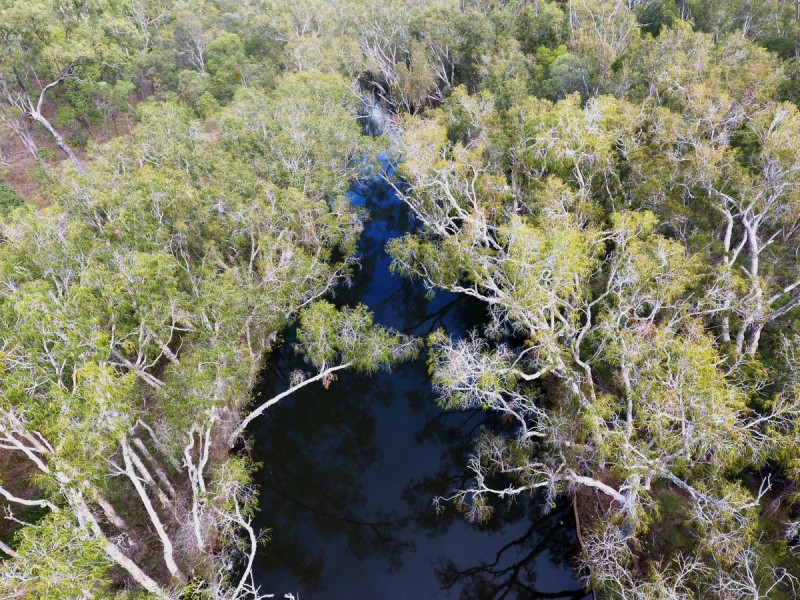 Lot 163,  Collins Weir Road, Mutchilba QLD 4872