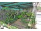 82 McGrath Road, Mareeba QLD 4880