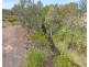 Lot 306,  Bellevue Close, Mareeba QLD 4880