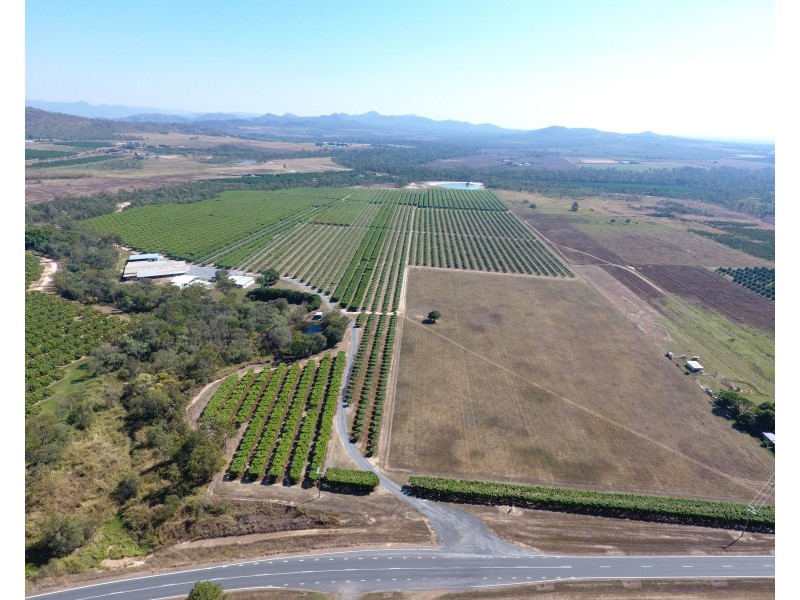 65793 Burke Developmental Road, Dimbulah QLD 4872