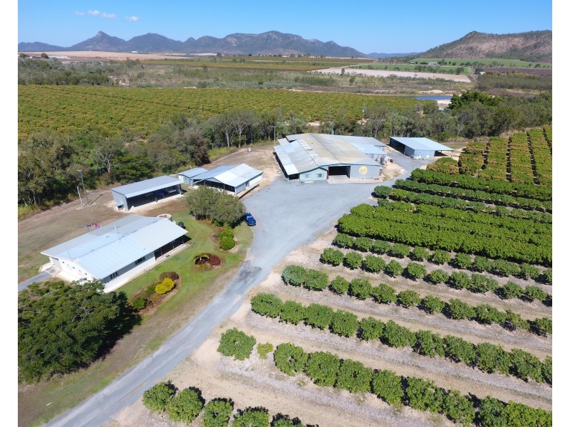 65793 Burke Developmental Road, Dimbulah QLD 4872