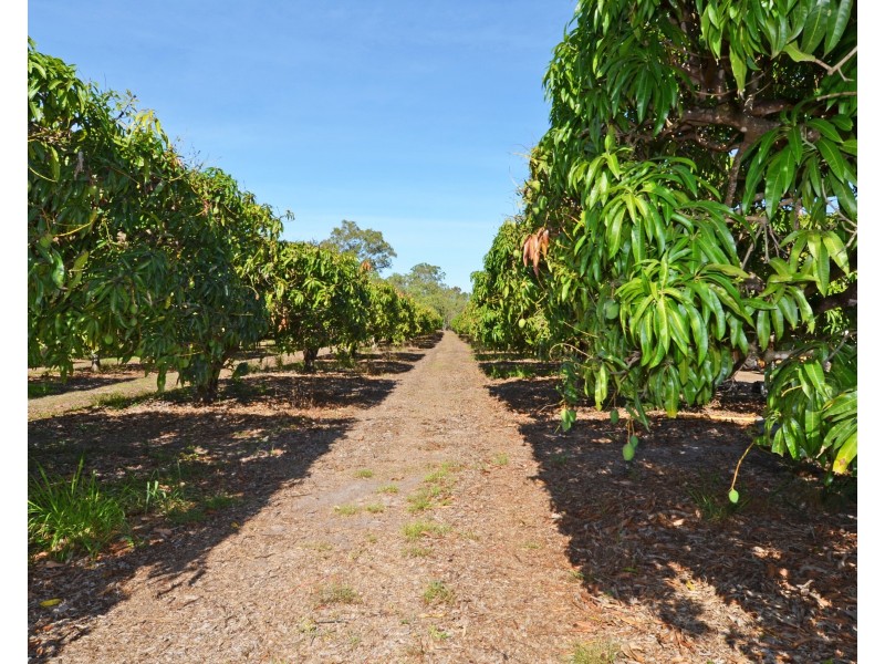 460 Springs Road, Paddys Green QLD 4880