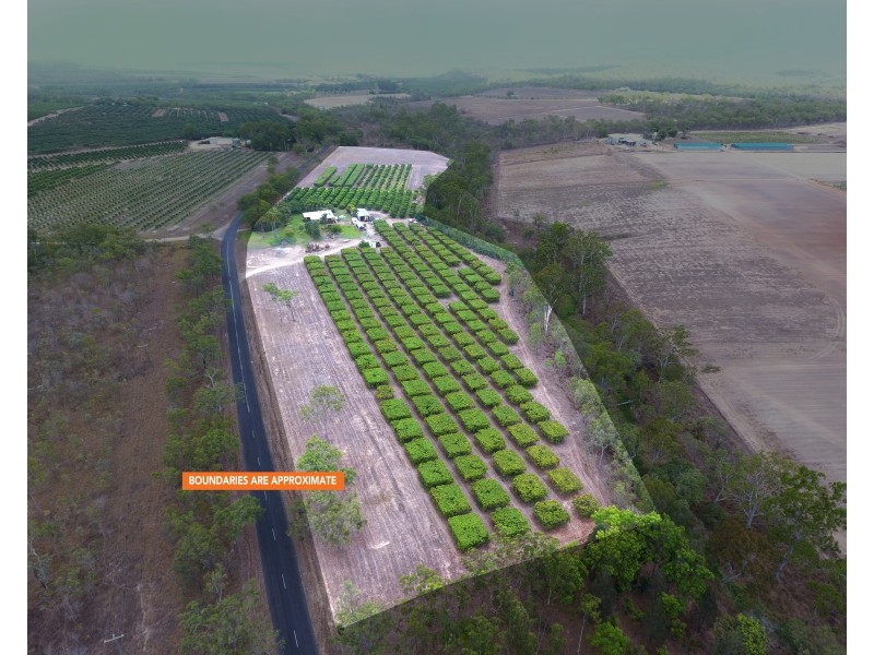 460 Springs Road, Paddys Green QLD 4880