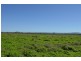 Lot 147,  Leadingham Creek Road, Dimbulah QLD 4872