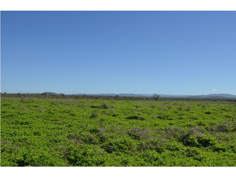 Lot 147,  Leadingham Creek Road, Dimbulah QLD 4872