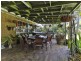 38 Briggs Street, Pittsworth QLD 4356