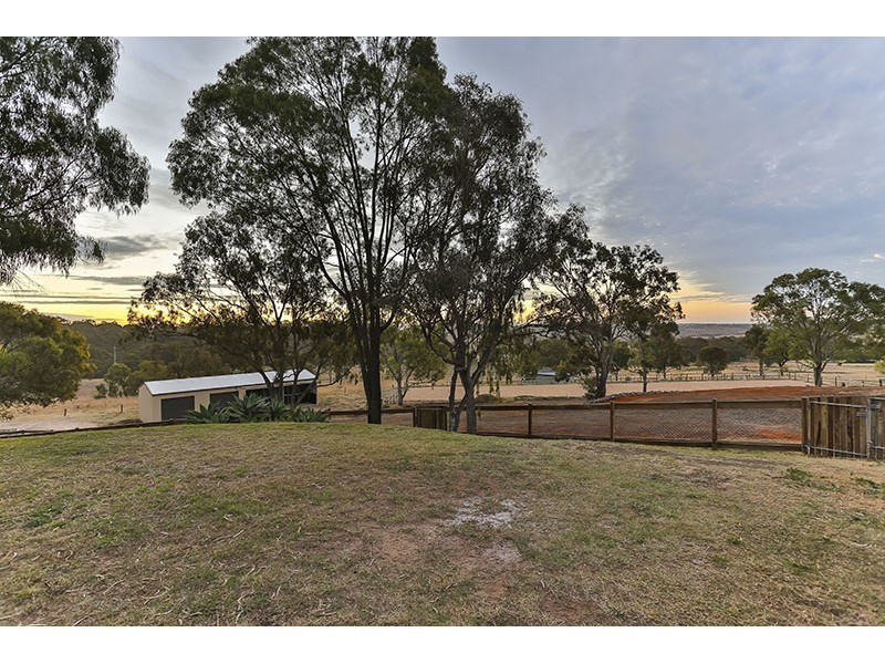 5 Pedersen street, Cranley QLD 4350