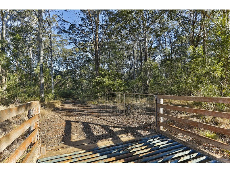 108 Grapetree Road, Hampton QLD 4352