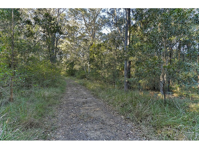 108 Grapetree Road, Hampton QLD 4352